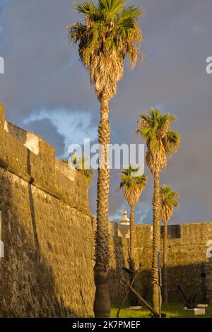 Portogallo, Azzorre, Isola di Sao Miguel, Ponta Delgada, Forte de Sao Bras, fortezza, museo militare, Foto Stock