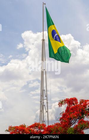 Goiânia, Goias, Brasile – 18 ottobre 2022: Bandiera brasiliana che vola con cielo nuvoloso sullo sfondo e fiori di un flamboyant (Delonix regia) fioritura Foto Stock