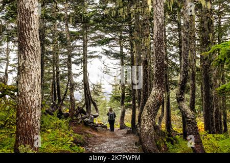 Escursionista su Alpine Loop Trail attraverso la bella foresta pluviale temperata - Monte Roberts - Juneau, Alaska, USA Foto Stock