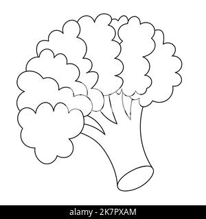 Broccoli. Infiorescenza di cavolo di asparagi. Illustrazione vettoriale. Contorno su sfondo bianco isolato. Stile Doodle. Schizzo. Gambo di fioritura. Illustrazione Vettoriale