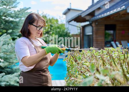 Il giardiniere femminile taglia una siepe nel cortile Foto Stock