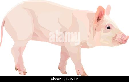 Icona di maiale realistica su uno sfondo bianco animali da fattoria. Illustrazione Vettoriale