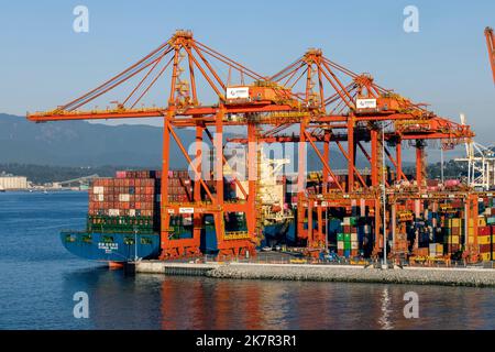 Gru che caricano i contenitori di trasporto nel porto di Vancouver - Vancouver, Columbia Britannica, Canada Foto Stock