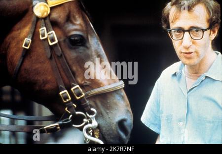 Woody Allen Film: Annie Hall (USA 1977) personaggi: Alvy Singer regista: Woody Allen 20 aprile 1977 **AVVERTENZA** questa fotografia è solo per uso editoriale ed è copyright di UNITED ARTISTS e/o del fotografo assegnato dalla Film o dalla Production Company e può essere riprodotta solo da pubblicazioni in concomitanza con la promozione del film di cui sopra. È richiesto un credito obbligatorio per GLI ARTISTI UNITI. Il fotografo deve essere accreditato anche quando è noto. Nessun uso commerciale può essere concesso senza autorizzazione scritta da parte della Film Company. Foto Stock