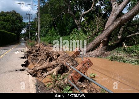 Alberi caduti sradicati e strade asfaltata pavimentazione distrutta dopo inondazioni d'acqua. Foto Stock