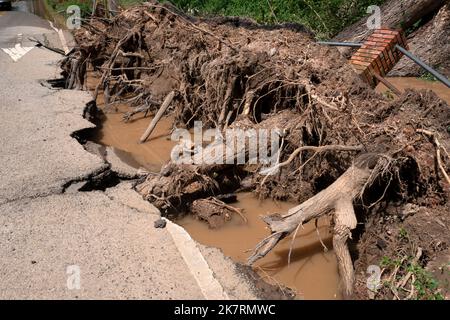 Alberi caduti sradicati e strade asfaltata pavimentazione distrutta dopo inondazioni d'acqua. Foto Stock