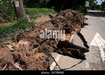 Alberi caduti sradicati e strade asfaltata pavimentazione distrutta dopo inondazioni d'acqua. Foto Stock