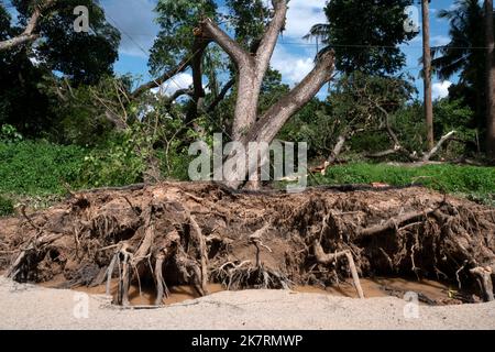 Alberi caduti sradicati e strade asfaltata pavimentazione distrutta dopo inondazioni d'acqua. Foto Stock