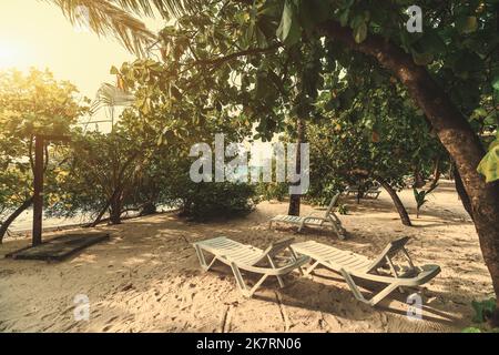 Una vista grandangolare della spiaggia con tre lettini sulla sabbia di corallo di un resort di lusso all'ombra, circondato da alberi tropicali di fronte all'oce Foto Stock