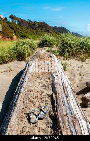 Un paio di sandali per bambini riposano nella sabbia su un driftwood log a Pacific Beach, Washington, con alberi di mare e sempreverdi in lontananza. Foto Stock