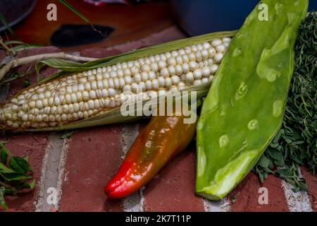 Decorazioni di granoturco, peperoncino e opuntia cactus nella cucina a vista nel giardino del cortile di Casa Cuubi a San Antonino Castillo Velasco vicino Oaxac Foto Stock