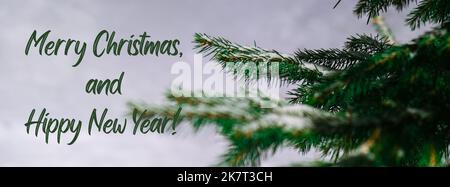 Buon Natale e Hippy Capodanno ispirazione scherzo citazione frase rami conifere coperto di hoarfrost. Neve sfondo inverno. Pino abete Banner Foto Stock