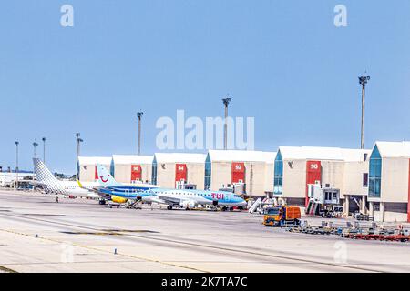 Palma de Mallorca, Spagna - 17 giugno 2022: Moderno terminal aeroportuale a Palma de Mallorca con aerei al cancello. Foto Stock