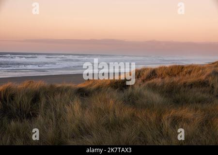 Il tramonto illumina le dune di sabbia erbose della spiaggia di Manila a Eureka, California, USA. Foto Stock