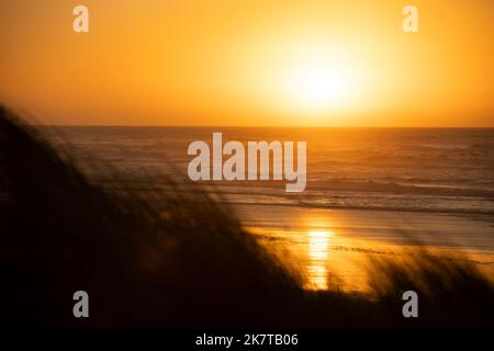 Il tramonto illumina le dune di sabbia erbose della spiaggia di Manila a Eureka, California, USA. Foto Stock