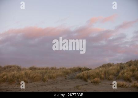 Il tramonto illumina le dune di sabbia erbose della spiaggia di Manila a Eureka, California, USA. Foto Stock