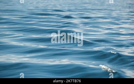 Konstanz, Germania. 12th Set, 2022. Le onde possono essere viste sulla superficie dell'acqua del lago di Costanza. Con l'ausilio di un imbuto a flusso di gas, è possibile misurare il volume dell'acqua e successivamente leggere la quantità di metano e CO2 contenuta nell'acqua. (Al dpa "Full Power on full Lakes - i boaters hanno bisogno di limiti più stretti?") Credit: Silas Stein/dpa/Alamy Live News Foto Stock