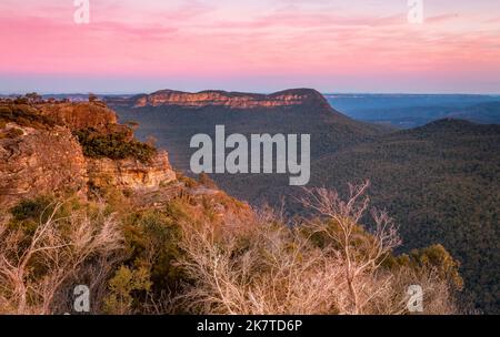 Vedute panoramiche senza recintato delle Blue Mountains e della Jamison Valley di fronte al Monte Solitary. Foto Stock