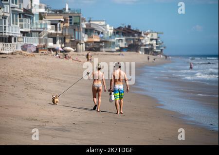 Vista posteriore di coppia che cammina il loro cane Foto Stock
