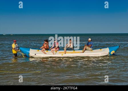 Bananiere a Bahia de San Felipe, a San Felipe, Baja California, Messico Foto Stock