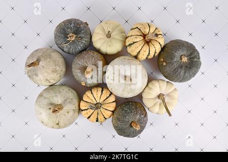 Vista dall'alto di diverse zucche e zucche verdi, bianche e gialle Foto Stock