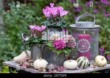 allestimento vintage con bouquet di fiori di idrangea, fiori di ciclamino, zucche e lanterna Foto Stock