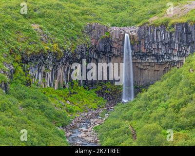 Vista sulla cascata di Svartifoss con impressionante formazione di pietra basaltica in Islanda in estate Foto Stock