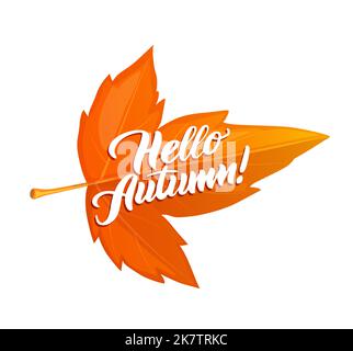 Ciao poster autunnale con foglia di marpetta. Adesivo di festa di ringraziamento o banner vettoriale. Saluto del festival di ottobre, biglietto di invito o volantino autunnale con foglia di marpetta arancione Illustrazione Vettoriale