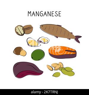 Alimenti contenenti manganese. Gruppi di prodotti sani contenenti vitamine e minerali. Set di frutta, verdura, carne, pesce e latticini. Illustrazione Vettoriale