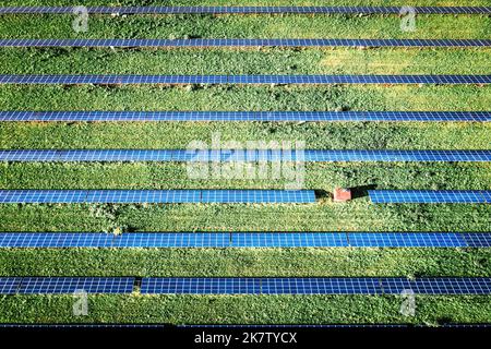 Pannello solare dall'alto. Fotografia aerea dei droni che guarda in basso su file di pannelli solari blu in una fattoria di energia rinnovabile Foto Stock