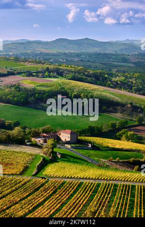 La regione Beaujolais vista dalla cava di Glay a Saint Germain Nuelles, paesaggio rurale con vigneti (Francia centro-orientale) Foto Stock