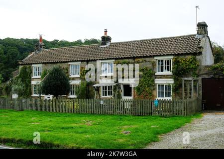 Graziosi cottage terrazzati a Hutton le Hole, Yorkshire, UK - John Gollop Foto Stock