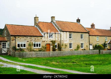 Graziosi cottage terrazzati a Hutton le Hole, Yorkshire, UK - John Gollop Foto Stock