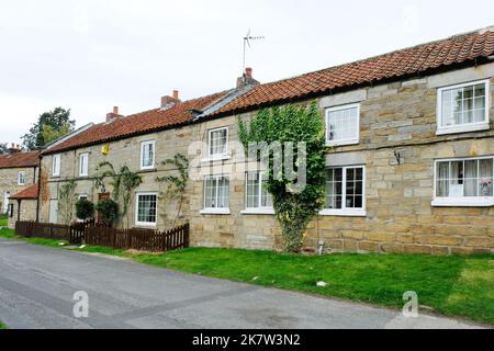 Graziosi cottage terrazzati a Hutton le Hole, Yorkshire, UK - John Gollop Foto Stock