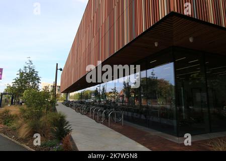 Ravelin Sports Centre, Università di Portsmouth, Hampshire, Regno Unito Foto Stock