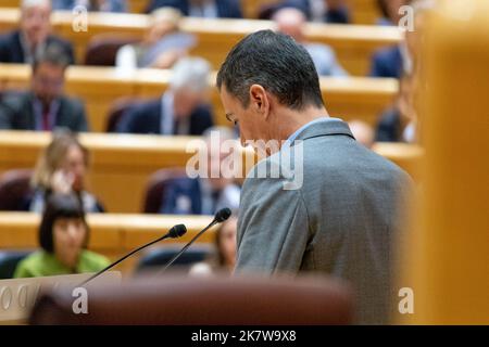 Pedro Sanchez Perez-Castejon. Presidente del governo spagnolo. Pedro Sánchez al Senato di Madrid con il gruppo socialista spagnolo dei lavoratori (PSOE) Foto Stock