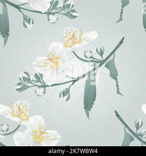 Texture senza cuciture twig fiore gelsomino e gemme crepe nella porcellana vintage sfondo blu vettore illustrazione Illustrazione Vettoriale