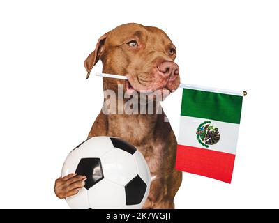 Affascinante, adorabile cucciolo, che detiene la bandiera nazionale del Messico Foto Stock