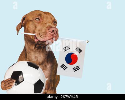 Affascinante, adorabile cucciolo, con bandiera nazionale. Primo piano Foto Stock