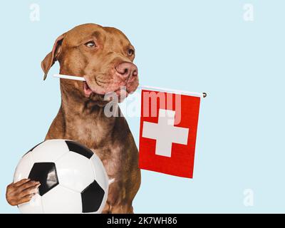 Affascinante, adorabile cucciolo, con bandiera nazionale. Primo piano Foto Stock