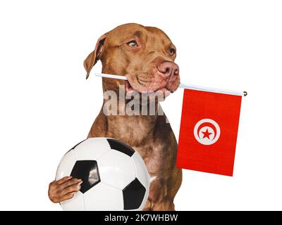 Affascinante, adorabile cucciolo, con bandiera nazionale. Primo piano Foto Stock