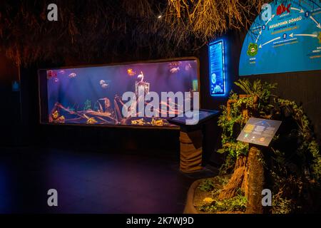 Antalya, Turchia - 26 settembre 2022: La gente gode la vista subacquea dell'acquario con il più lungo nel tunnel panoramico del mondo, Antalya, Turchia. Foto Stock