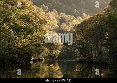 Il fiume Derwent scorre attraverso Borrowdale a Gowder Dub vicino a Grange, Lake District, Regno Unito Foto Stock