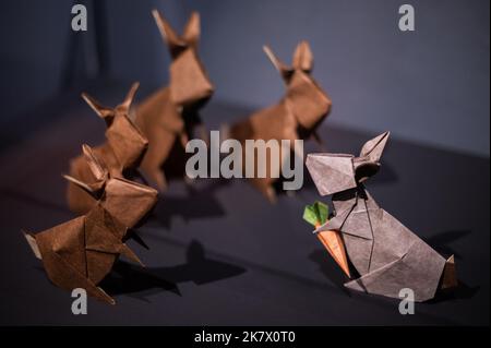 Mostra d'artista Beth Johnson origami al museo d'arte dell'origami di Emoz, con mostre speciali e laboratori pratici per bambini e adulti, Saragozza Foto Stock