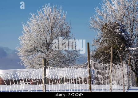 Winterbilder aus dem Teutoburger Wald Foto Stock