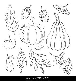 Autunno raccolto Doodle set. Simboli autunnali: Foglie cadute, zucca, mela, pera, acorno, bacche. Disegno vettoriale isolato su sfondo bianco. Illustrazione Vettoriale