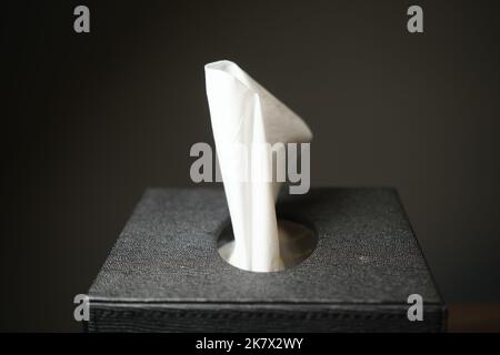 estrarre manualmente un pezzo di tessuto dalla scatola di carta per tessuti Foto Stock