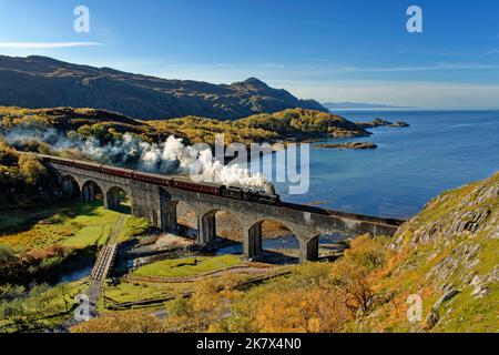 Treno a vapore Jacobite con fumo che attraversa l'otto arco Loch Nan Uamh Viaduct linea ferroviaria della costa occidentale Scozia in autunno Foto Stock