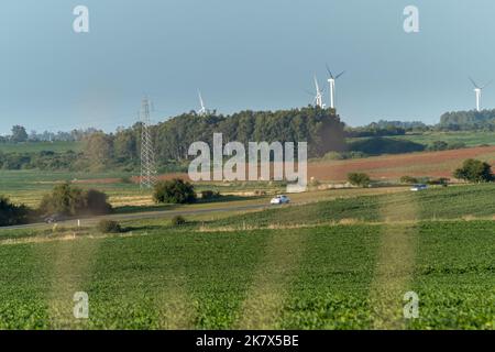 Campi di soia con una strada con auto e un mulino a vento fattoria all'orizzonte. In primo piano si possono vedere alcune piante con fiori rosa Foto Stock