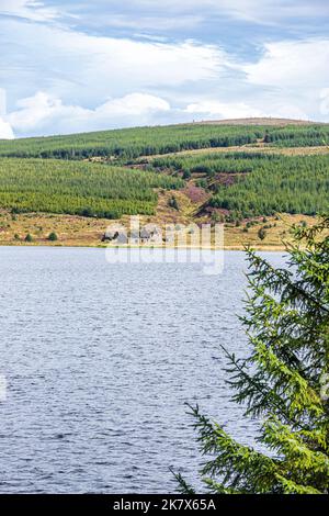 Le rovine di Stramollach (abbandonate nel 1947 per costruire il serbatoio) all'estremità settentrionale di Lussa Loch sulla penisola di Kintyre, Argyll & Bute, Scozia UK Foto Stock